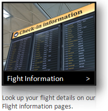 View Your Flight Information.